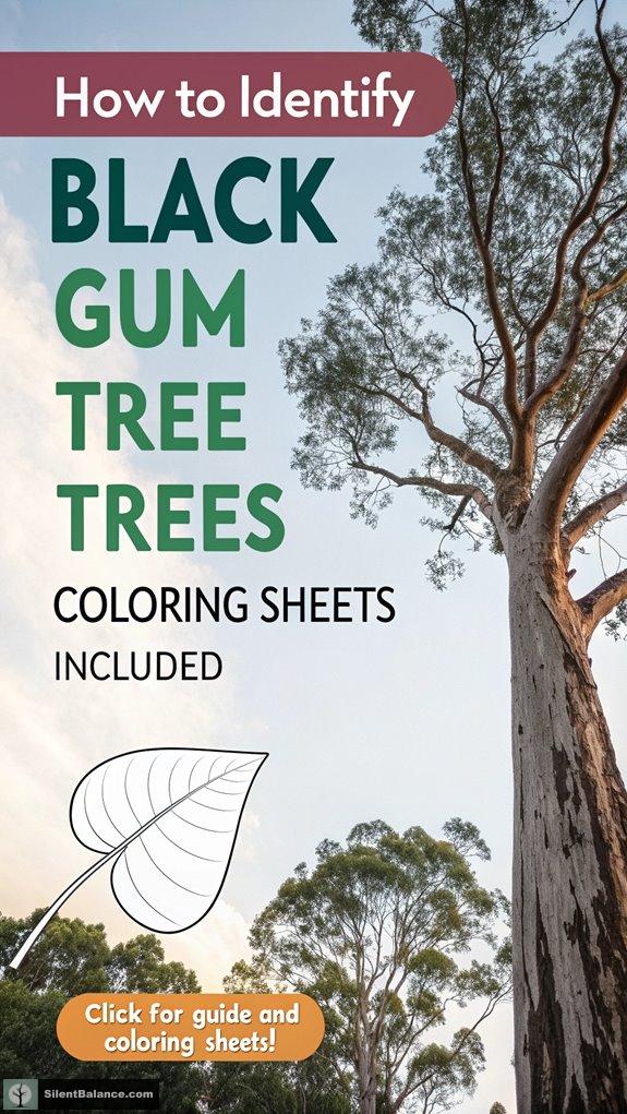 identifying black gum trees