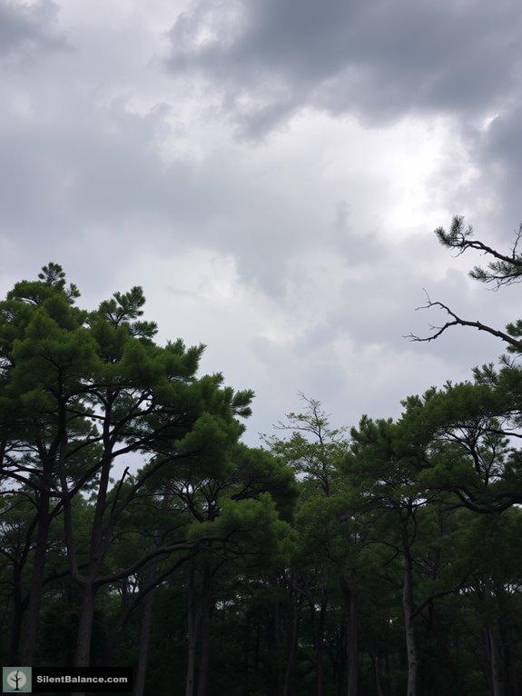 trees withstand stormy conditions
