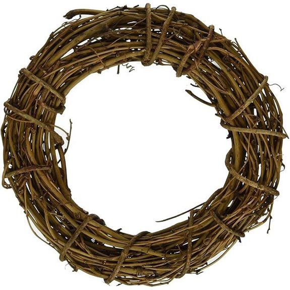 Natural Grapevine Wreath for DIY Crafts 6-inch