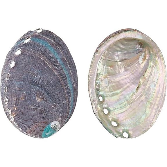 WADORN 4.6 Inch Abalone Shell Incense Bowl