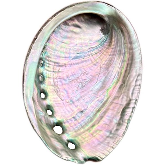 BRBASAP Abalone Shell Smudge and Incense Bowl
