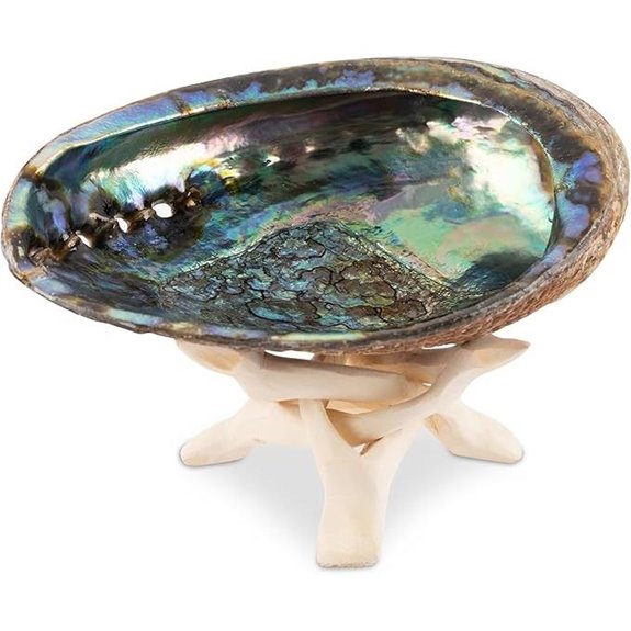 Wish Well Abalone Shell Incense Holder with Wooden Stand