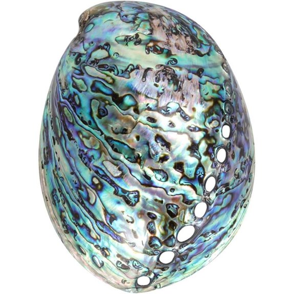 Veemoon Abalone Shell Smudge Bowl for Meditation & Decor