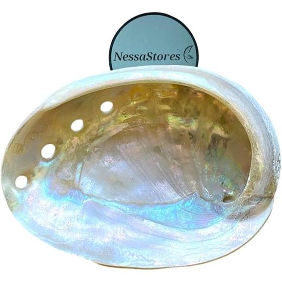 NessaStores Abalone Shells for Smudging (3 Pack)