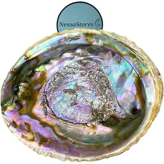 NessaStores Abalone Shells for Smudge and Incense