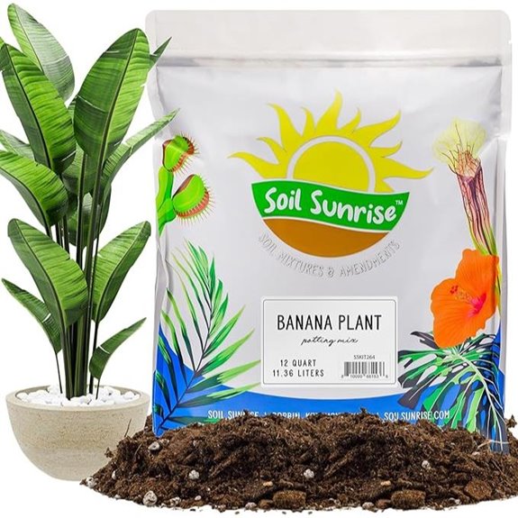 Soil Sunrise Banana Plant Potting Soil (12 Quarts)