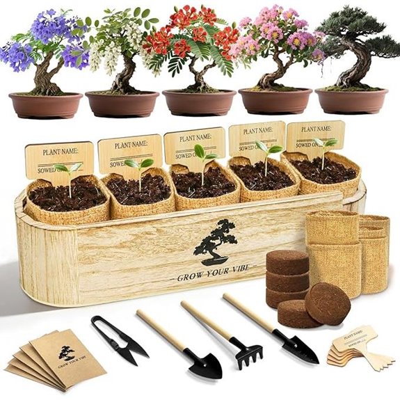 LUOJIBIE Bonsai Tree Kit for Beginners