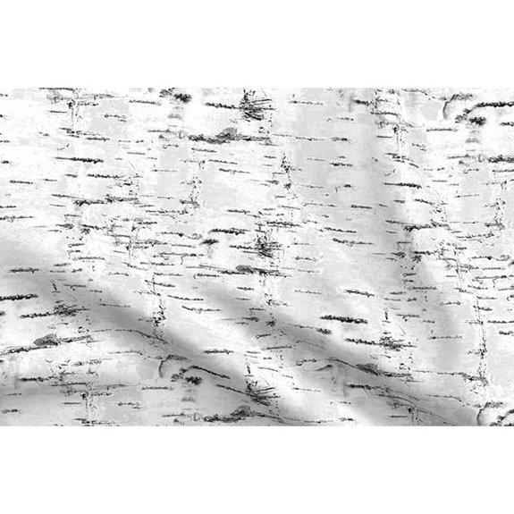 Woodland Birch Trees Fabric - Cotton Quilting Crafts