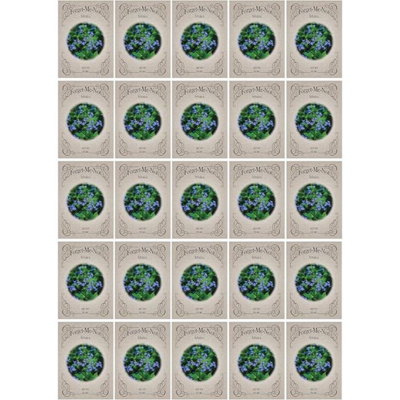 Black Duck Forget-Me-Not Flower Seeds (25 Pack)
