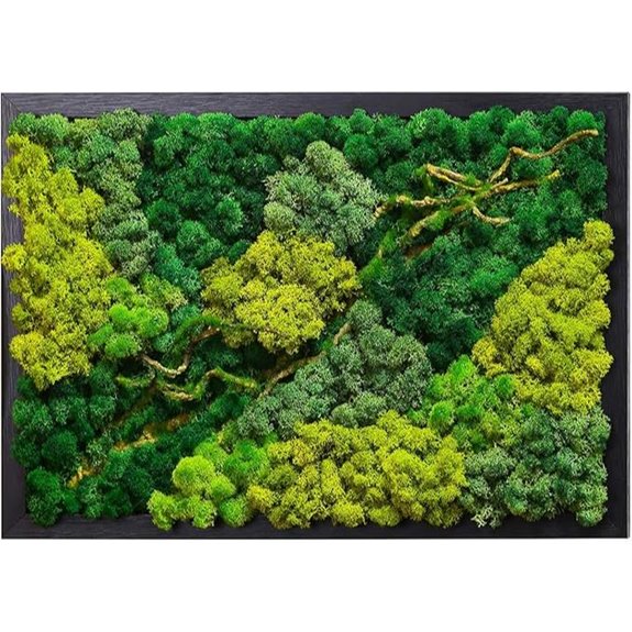 Preserved Moss Wall Art with Black Frame