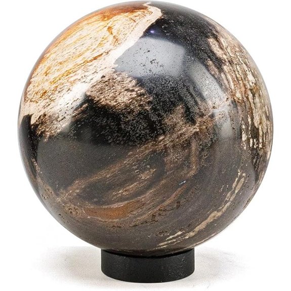 KALIFANO 5 Black Petrified Wood Sphere Decor