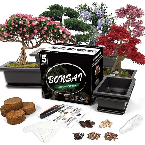 Bonsai Starter Kit with 5 Seeds and Tools