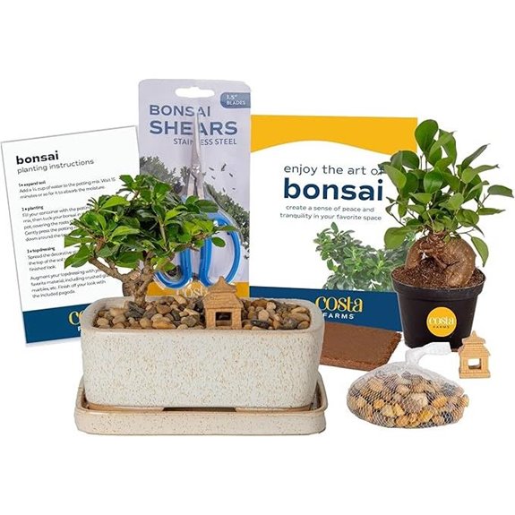 Costa Farms Bonsai Tree Kit with Tools and Pot