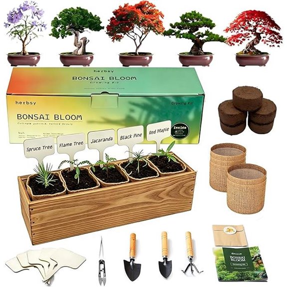 Bonsai Tree Kit with Tools and Seeds (5-Pack)