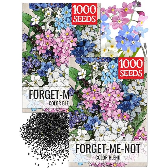 Forget Me Not Flower Seeds for Butterfly Garden