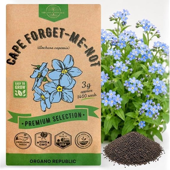 Cape Forget-Me-Not Seeds Pack (3G) Flower Seeds