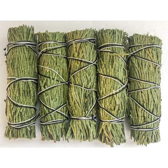 Cedar Sage Smudge Bundles for Cleansing and Healing