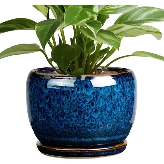 Sqowl 8-Inch Ceramic Plant Pot with Drainage