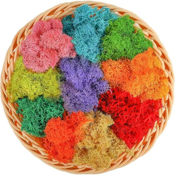 CCINEE 7oz Multicolor Reindeer Lichen for Crafts