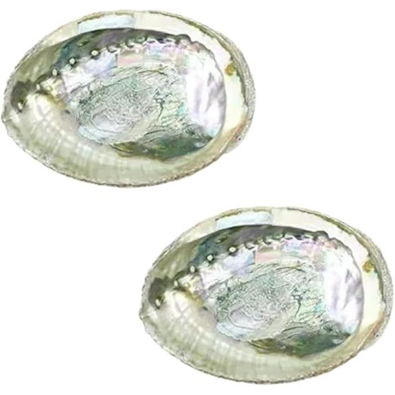 Colorful Abalone Shell Incense Burners (2 Pack)