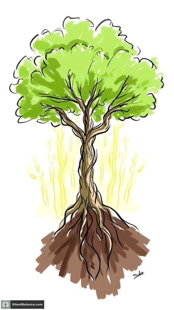 connecting inner and outer