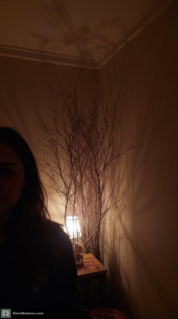 cozy sanctuary with twigs