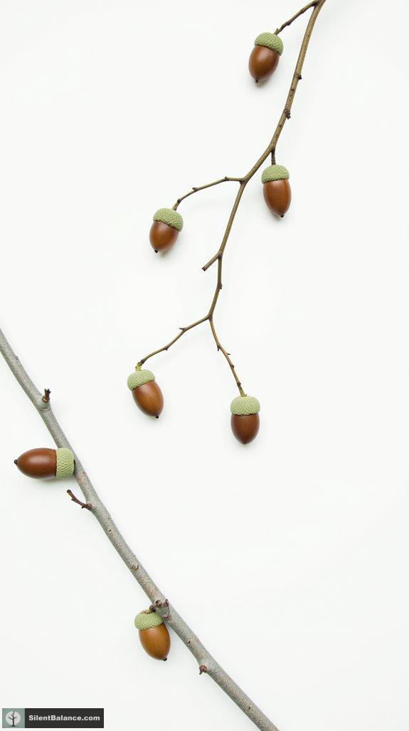 eclectic nature inspired wall decor