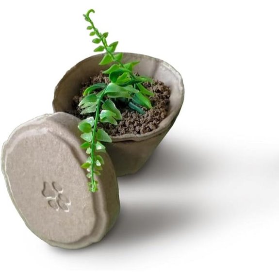 eco friendly plantable urn