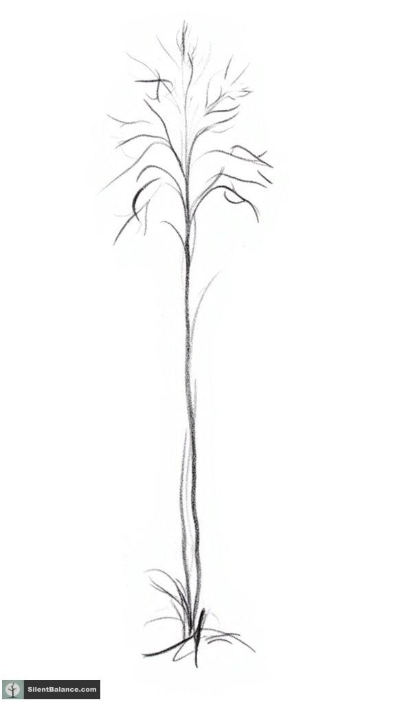 forest inspired artistic expression