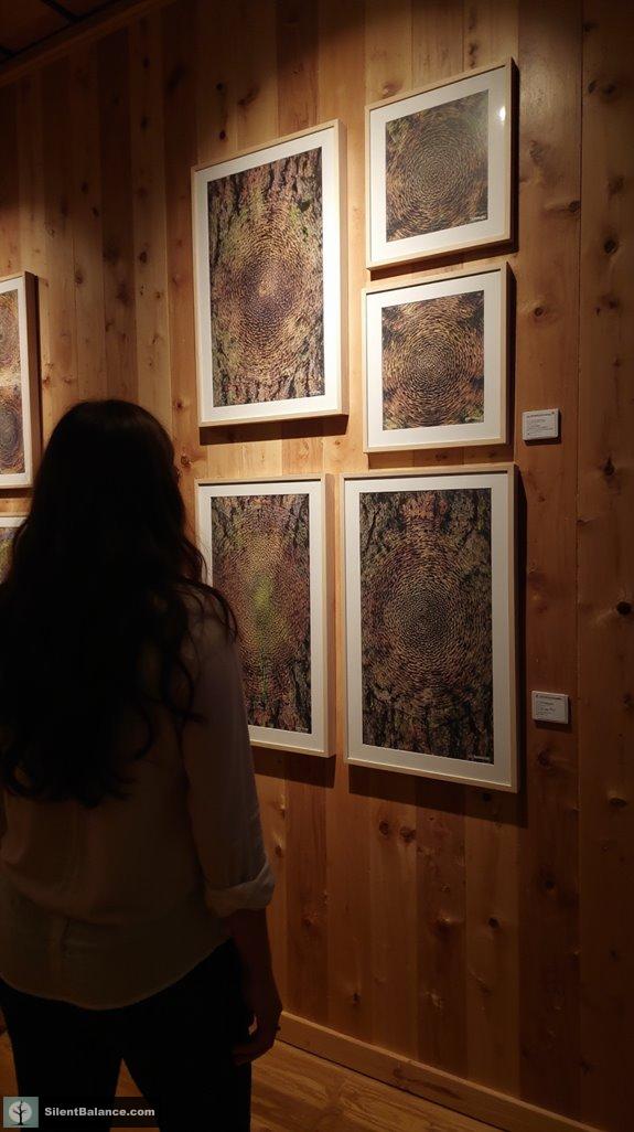 framed nature art impressions