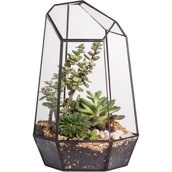NCYP Geometric Glass Terrarium Planter for Succulents