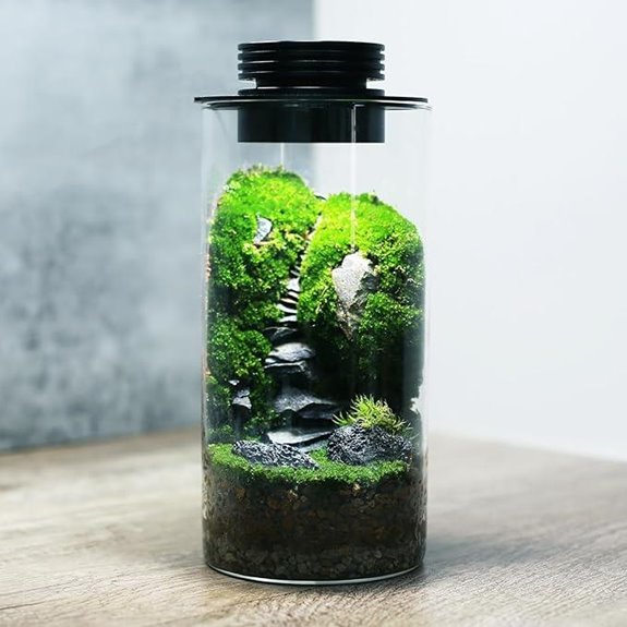 AREPK Glass Plant Terrarium with Grow Light