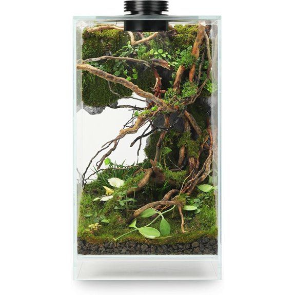 Desktop Glass Plant Terrarium with Grow Light