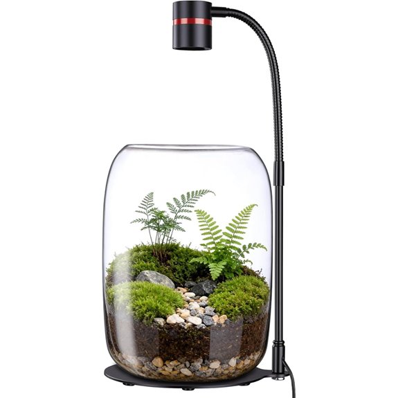 Glass Plant Terrarium with LED Grow Light