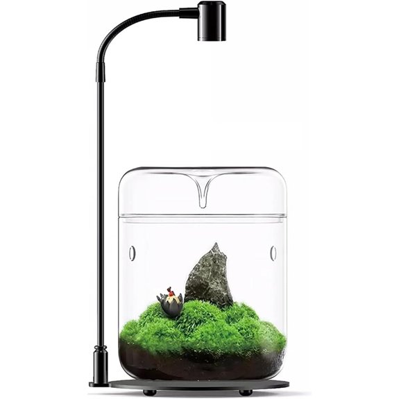 SARUFO Glass Plant Terrarium with Light and Lid