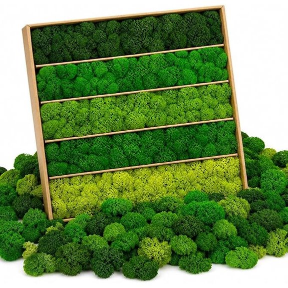 Preserved Green Reindeer Moss Mix for Crafts & Decor