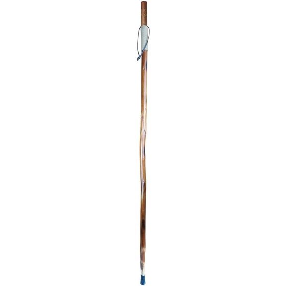 SE Hand-Carved Grizzly Bear Hiking Stick