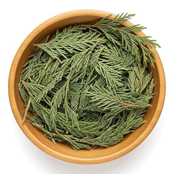 NY Spice Shop Cedar Leaf Whole - 2oz Herbal Botanical
