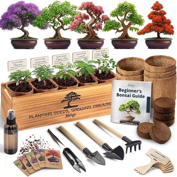 Deluxe Bonsai Tree Kit with 5 Unique Japanese Trees