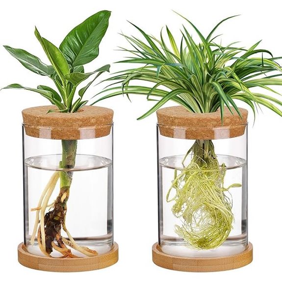 Biggun Plants Propagation Station (2 Pcs)