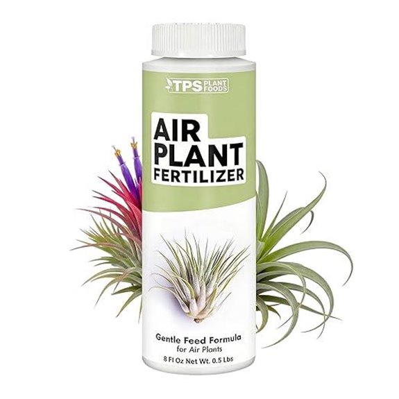 Air Plant Fertilizer Liquid Food for Tillandsia