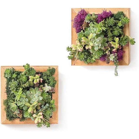 SuperMoss Sphagnum Moss Living Wall Frame