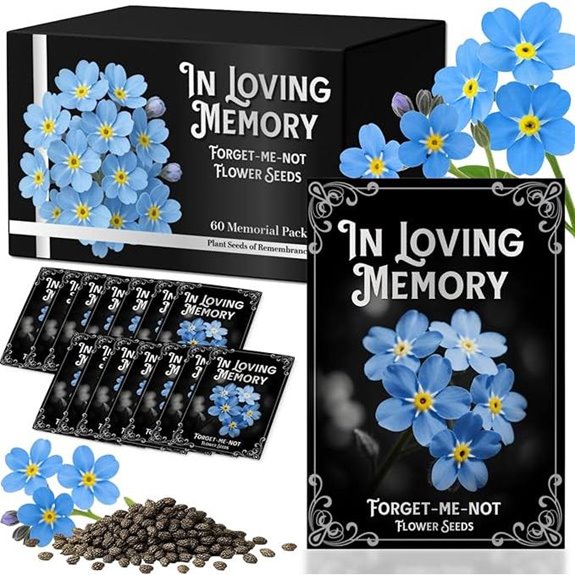60Pack Forget Me Not Seeds for Memorial Gifts