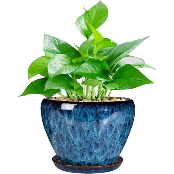 Ceramic 6-Inch Modern Succulent Planter with Drainage