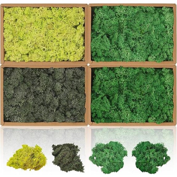 Preserved Multicolored Moss Wall Art (1.8 lb)