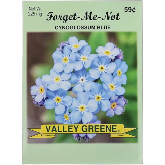 Forget Me Not Flower Seeds Pack of 50