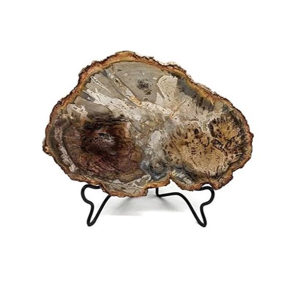Petrified Wood Slab with Stand 4.5–5 inches