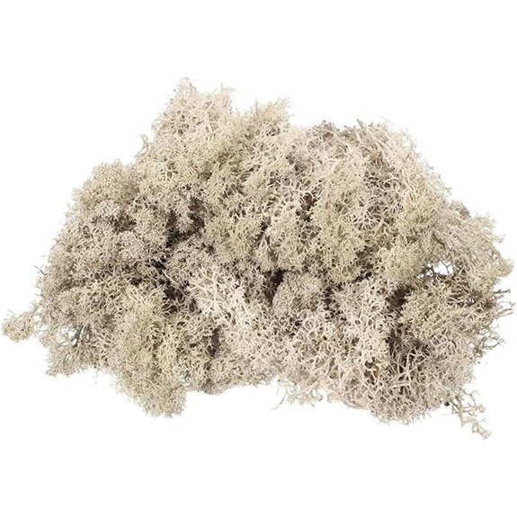 MECCANIXITY Preserved Reindeer Moss for Indoor Decor