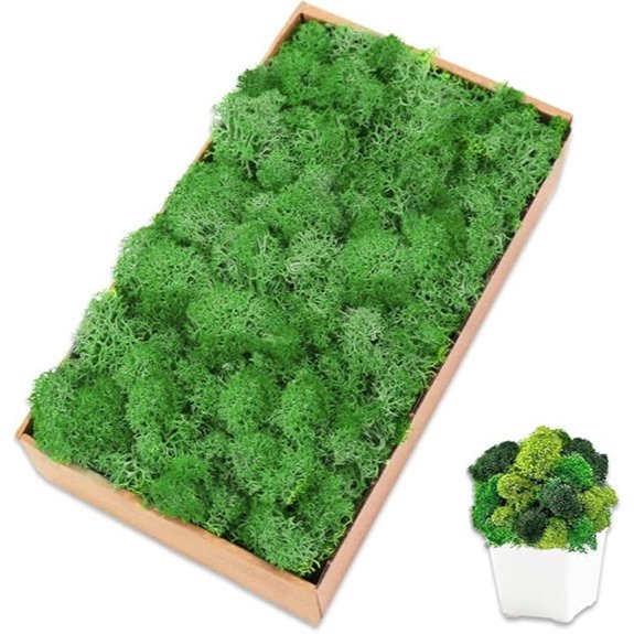 Preserved Reindeer Moss 7 oz for Crafts and Decor