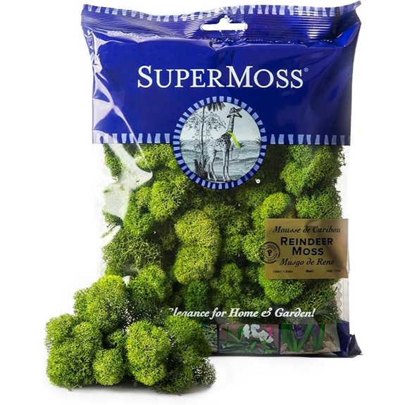 SuperMoss (23080) Reindeer Moss Preserved Basil 2 Ounces